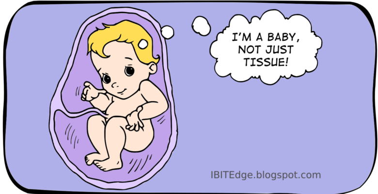 When Does Life Begin? The Answer According To A Biologist.